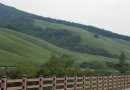 ȣ